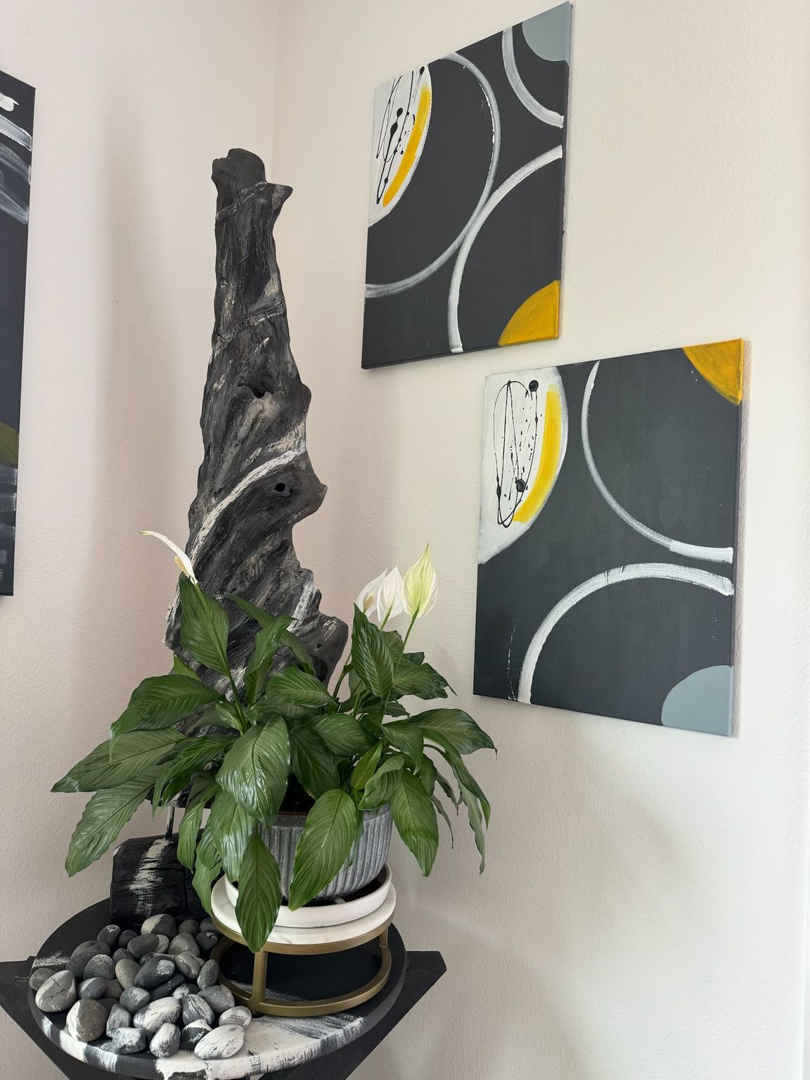 A potted plant with abstract paintings on a white wall.