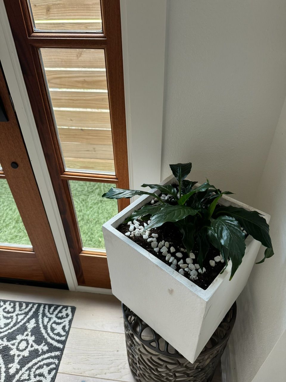 White square planter with green plant, sits atop a woven basket by a wooden door with glass panels.