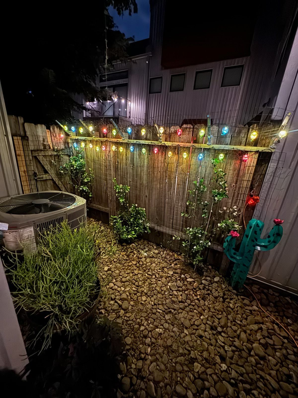 Enclosed backyard with string lights, gravel, plants, and a cactus decoration.