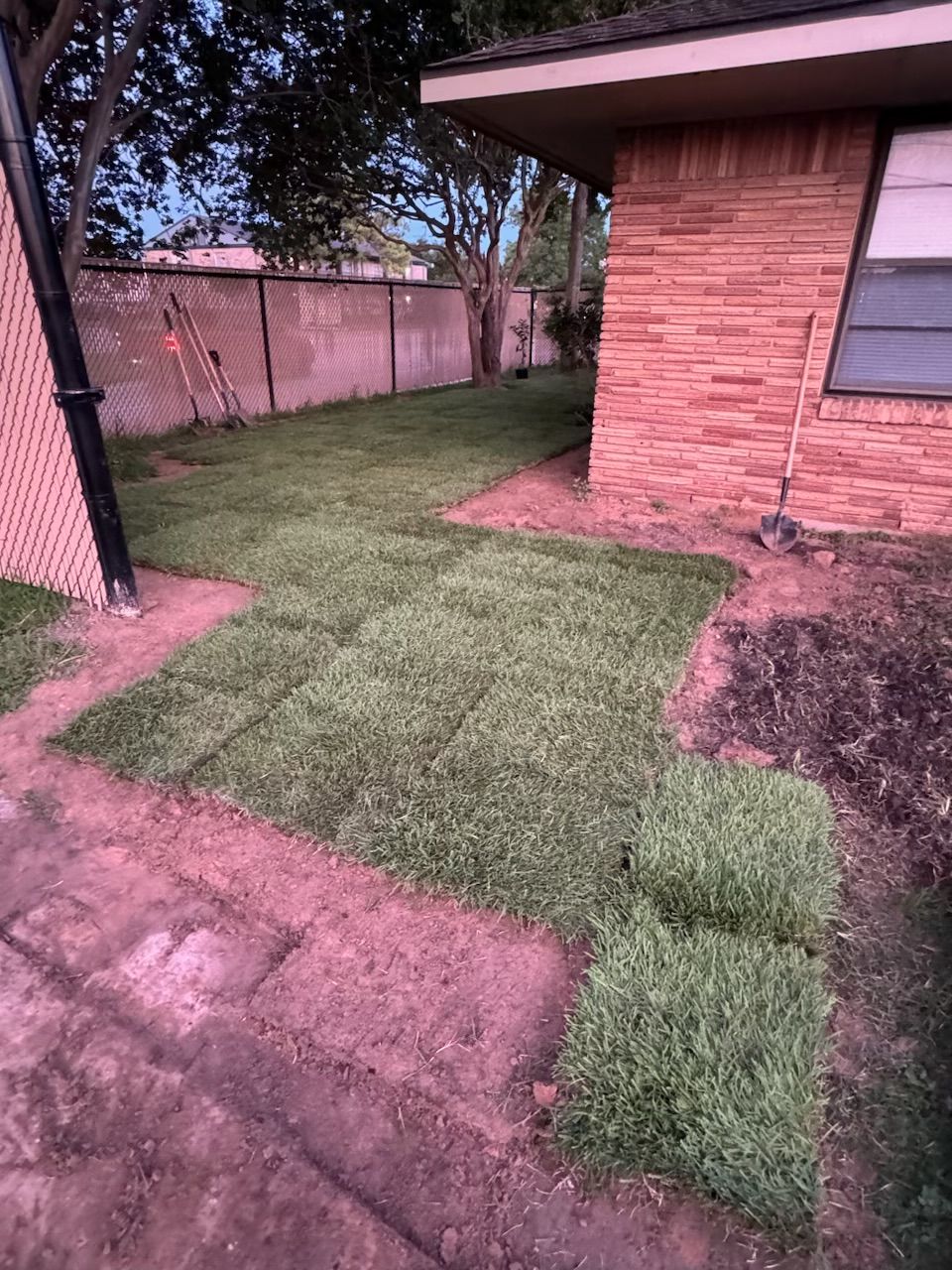 Freshly laid sod beside a brick building and fence; the ground is dirt and cut grass.