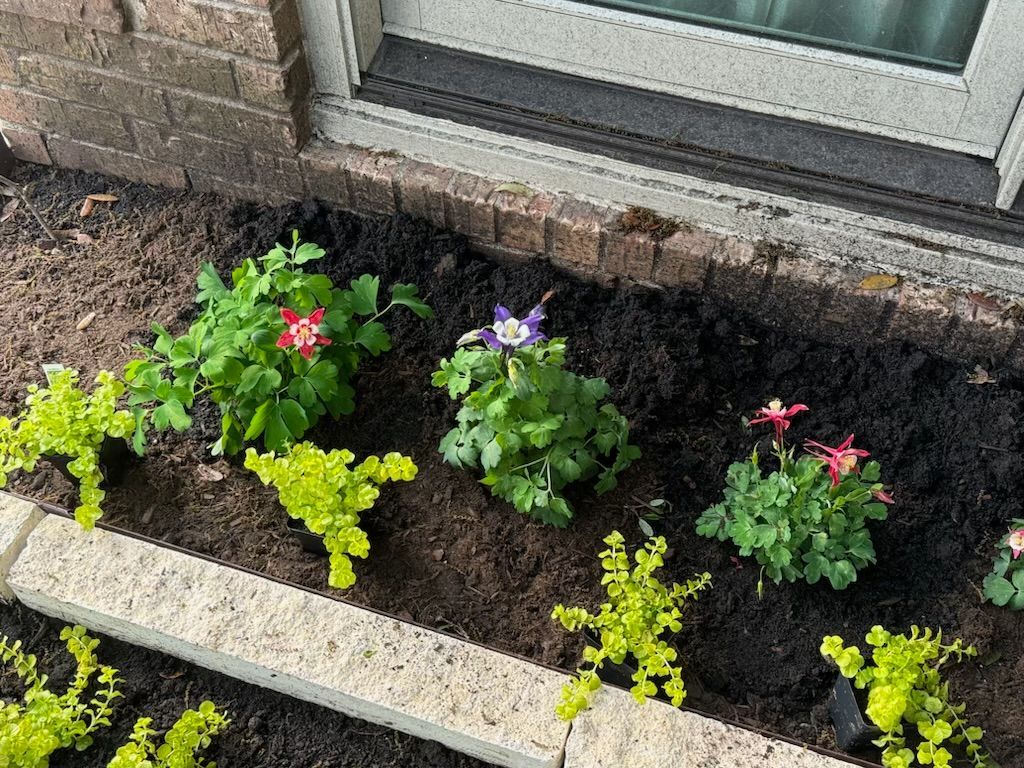 Garden bed with colorful flowers and green plants against a brick building.