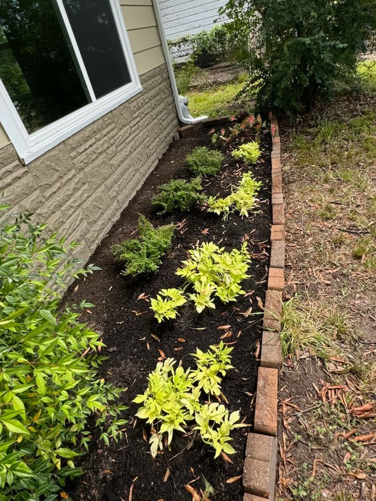 A garden bed with bright green plants, brick edging, next to a building's beige siding and window.