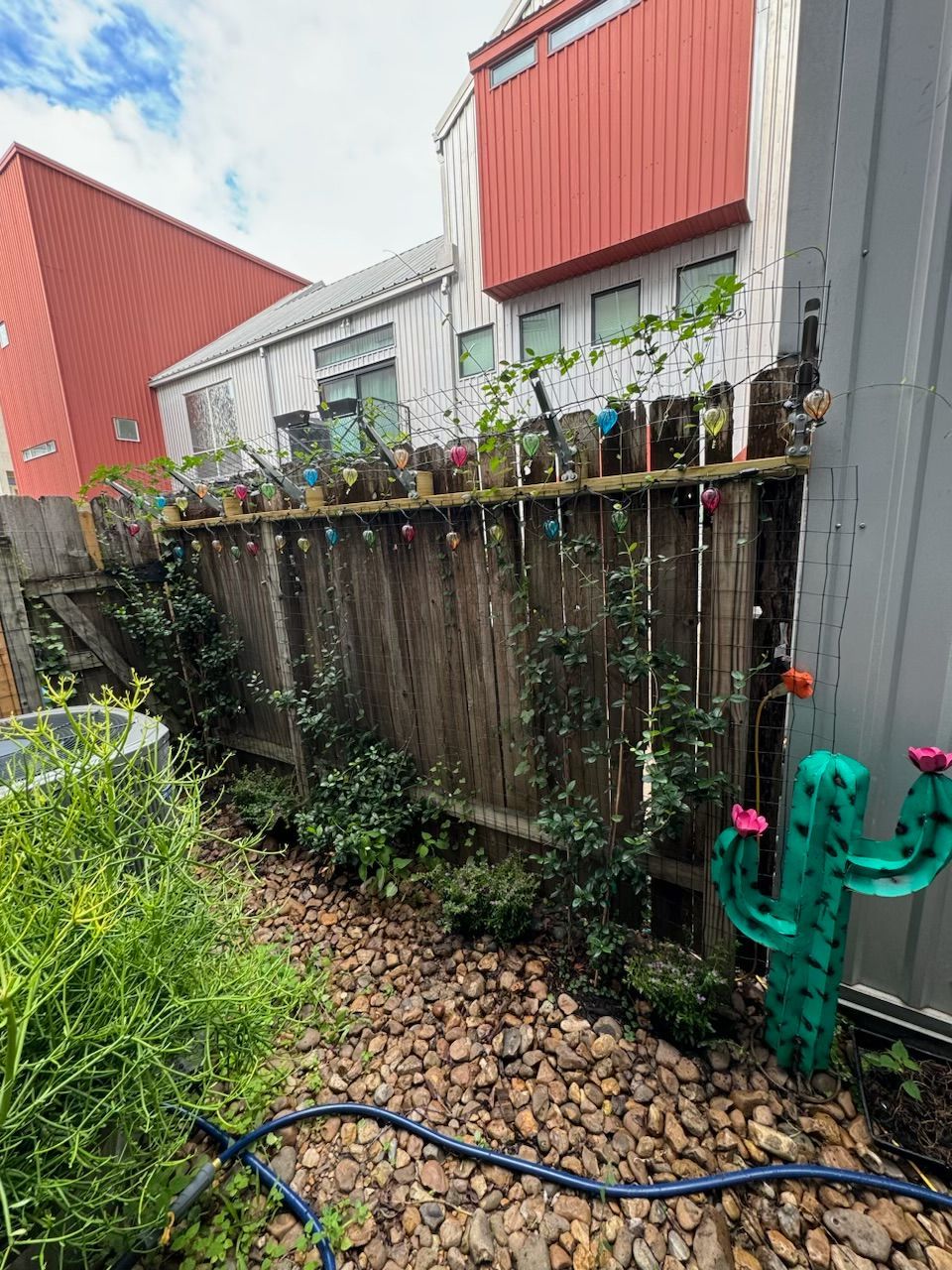 Backyard with wooden fence, plants, and decorative cactus. Gravel path. Red building in background.