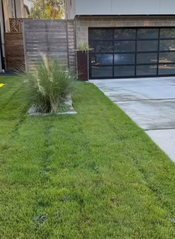 Green lawn and concrete driveway in front of a modern garage with glass doors. Wooden fence and ornamental grass.