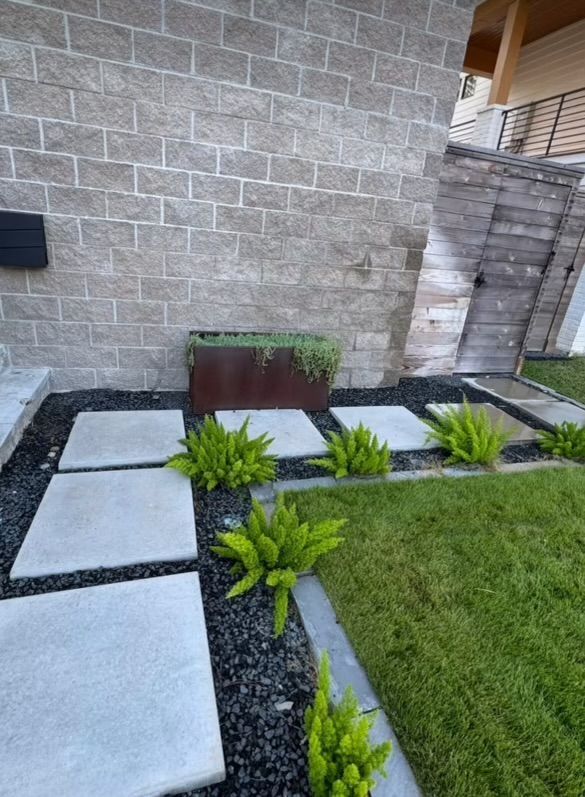 Rooted In Sunshine, Houston TX, Sunset Terrace/Montclair Houston TX, The Memorial Villages Houston TX, Rice Military Houston TX, Greater Heights Houston TX, River Oaks Houston TX, Southampton Houston TX, Braeswood Houston TX, Briargrove Houston TX, Montrose Houston TX, Greenway / Upper Kirby Area Houston TX, Bellaire TX, Spring Valley Village TX, Southside Place TX, West University Place TX, Cinco Ranch TX, Sugar Land TX, Sweetwater Sugar Land TX, Avalon Sugar Land TX, Katy TX, League City TX, Galveston TX, Garden Design, Houston Garden Design, Cinco Ranch Garden Design, Sugar Land Garden Design, Katy Garden Design, Galveston Garden Design, League City Garden Design, West University Place Garden Design, Garden Designer Near Me, Landscape Design, Houston Landscape Design, Cinco Ranch Landscape Design, Sugar Land Landscape Design, Katy Landscape Design, Galveston Landscape Design, League City Landscape Design, West University Place Landscape Design, Landscape Designer Near Me, Garden Bed Replenishment, Garden Bed Maintenance, Landscape, Landscaping Ideas, Backyard Landscaping, Front Yard Landscaping, Landscaping Plants, Native Plant Design, Wildscape, Wildscape Specialists, Wildlife Habitat Installation, Soil Testing, Tree Services, Tree Company Near Me, Houston Tree Company, Cinco Ranch Tree Company, Sugar Land Tree Company, Katy Tree Company, Galveston Tree Company, League City Tree Company, West University Place Tree Company, Tree Removal, Cost of removing a tree, Tree Removal Costs, Tree Pruning, Tree Trimming, Tree Installation, Interior Plant Decor, Interior Plant Decorating, House Plant Maintenance, House Plant Care, Storm Damage Tree Services