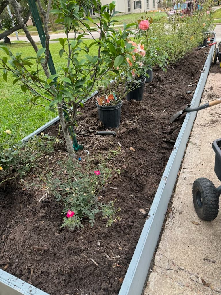 Long raised garden bed being prepared, with plants in pots, soil, and a person using a garden tool.