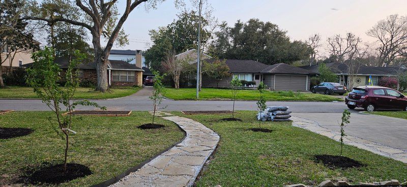 Residential street view with a stone path, young trees, houses, and cars.