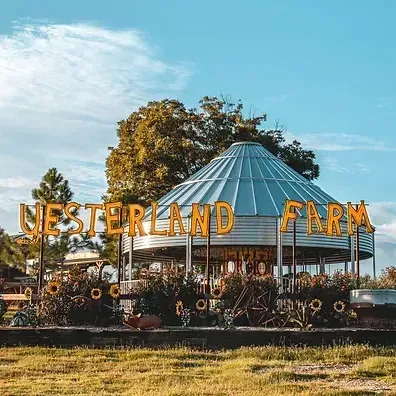 A merry go round is sitting in the middle of a grassy field.