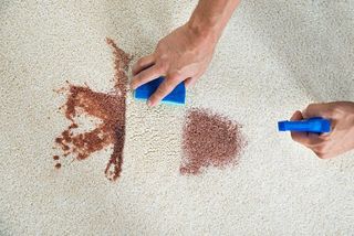 Stain Removal - Carpet Repair Specialist in Orange Country, CA