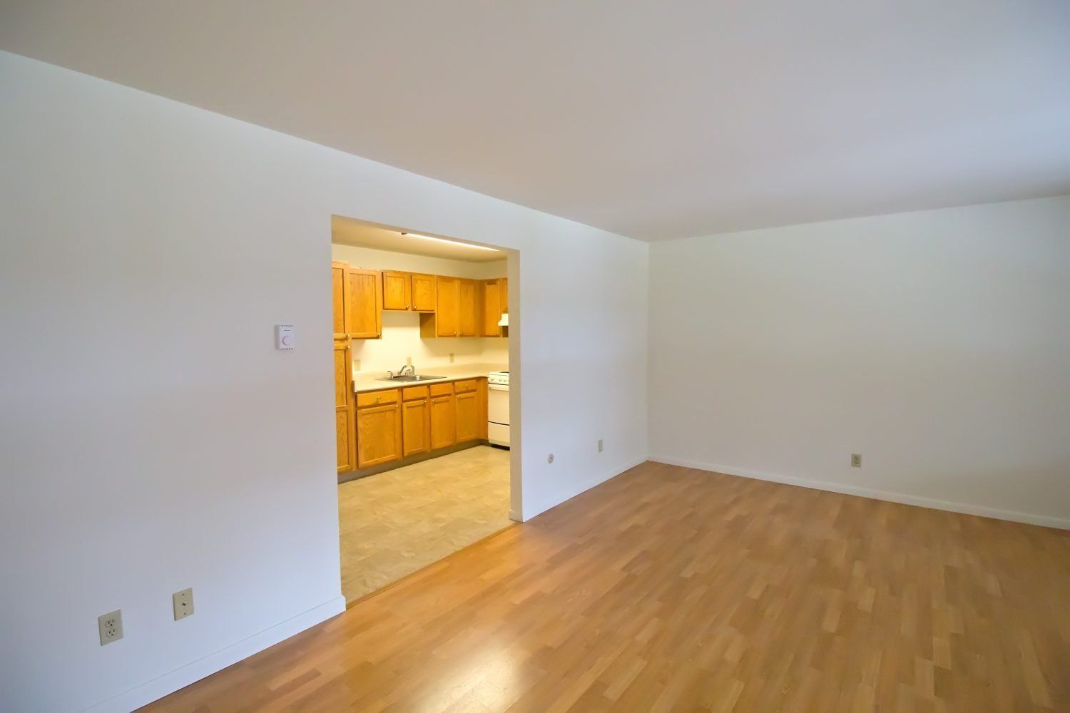 Sacandaga Living Room View into Kitchen