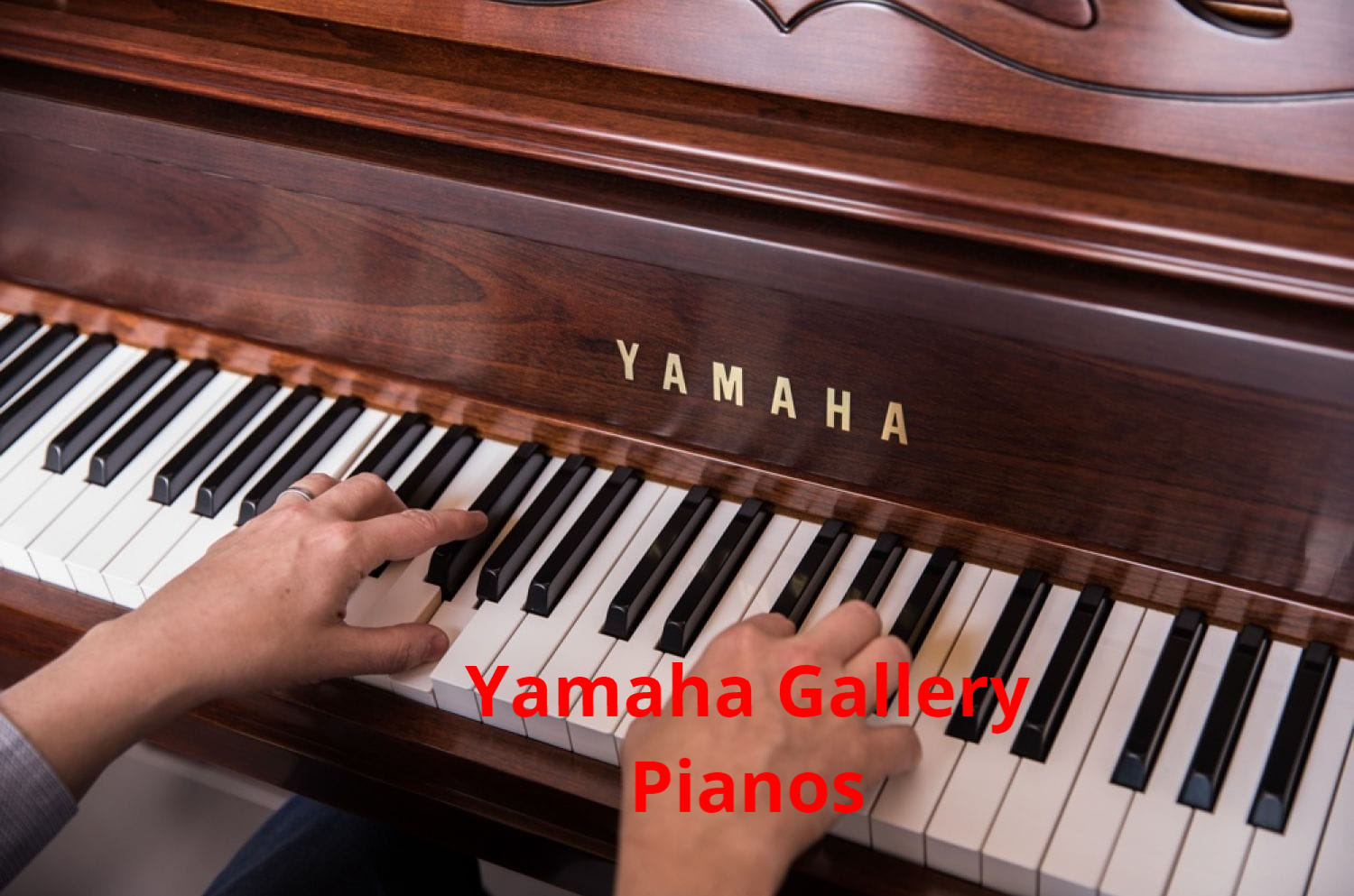 Musician Playing Keyboards — Omaha, NE — Keyboard Kastle