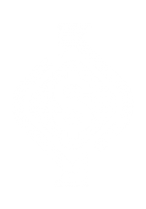 A white background with a few lines on it