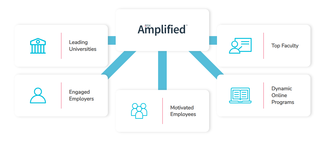 A diagram showing how a company 's processes are amplified.