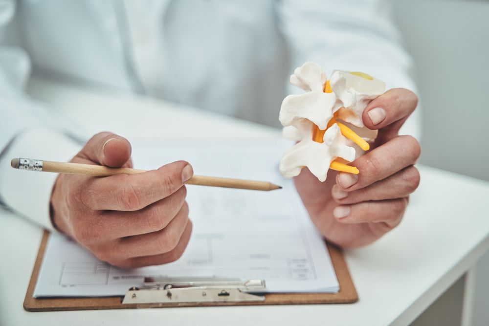 A Doctor Is Holding A Model Of A Spine And Writing On A Clipboard — Back In Motion Chiropractic & Healthcare In Babinda, QLD