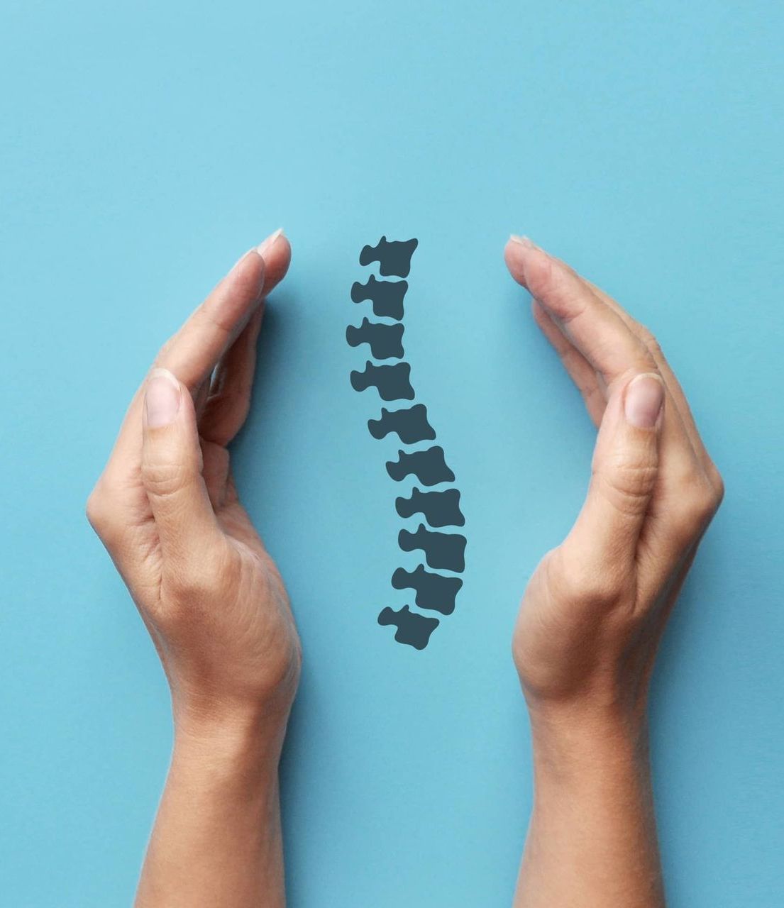 A Person Is Holding A Silhouette Of A Spine In Their Hands — Back In Motion Chiropractic & Healthcare In Innisfail, QLD