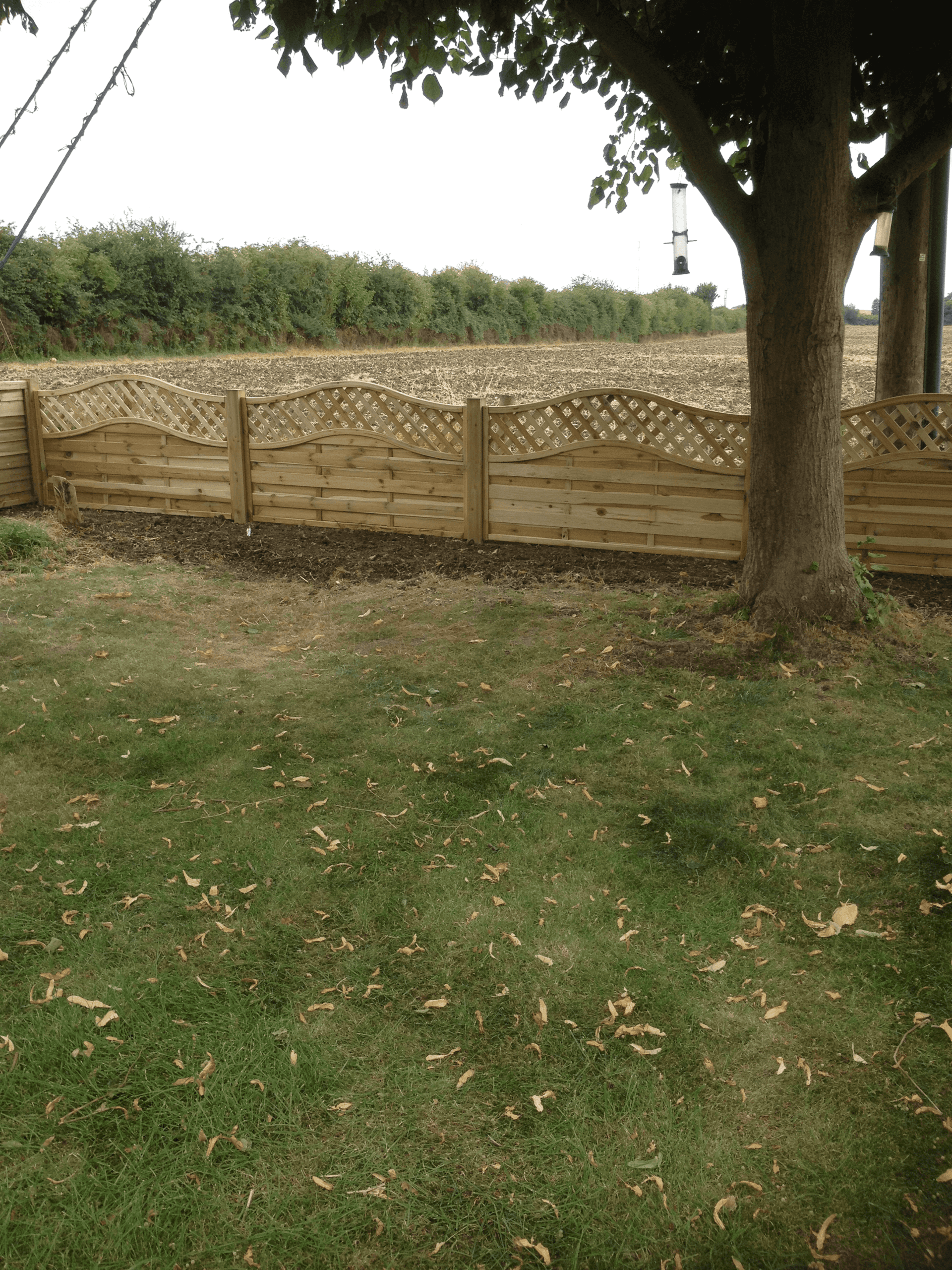 lawn fencing