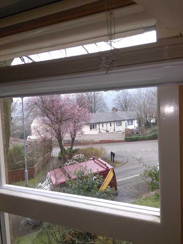 Outside view from a window