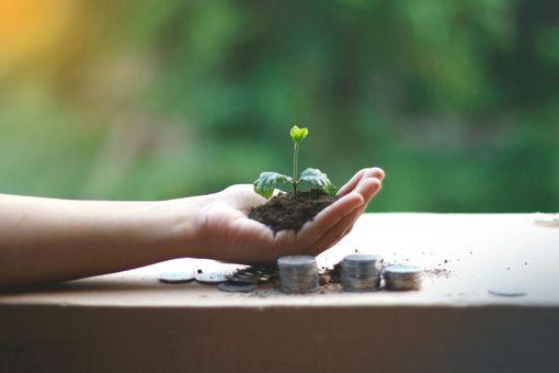 Hand holding a small plant sprouting from soil with watering can nearby on a table