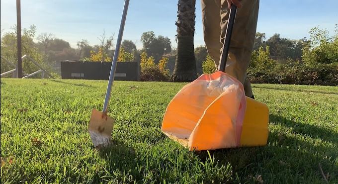 Person using shovel to scoop waste into a yellow dustpan on a grassy lawn.