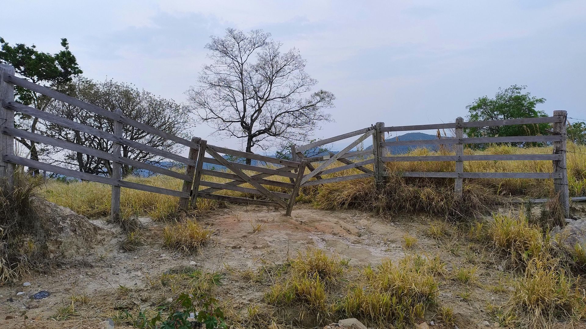 Weathered wooden fence in a dry grassy field with sparse trees under a cloudy sky