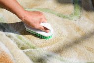 A person is cleaning a carpet with a brush.