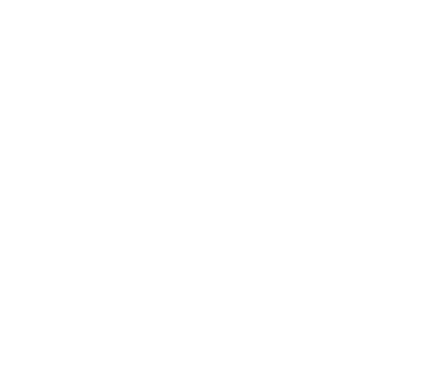 Cirrus at Aqua property log