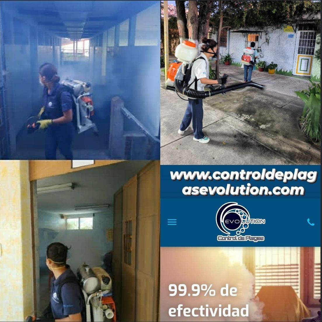 Trabajadores que utilizan equipos portátiles de nebulización para el control de plagas y servicios de saneamiento