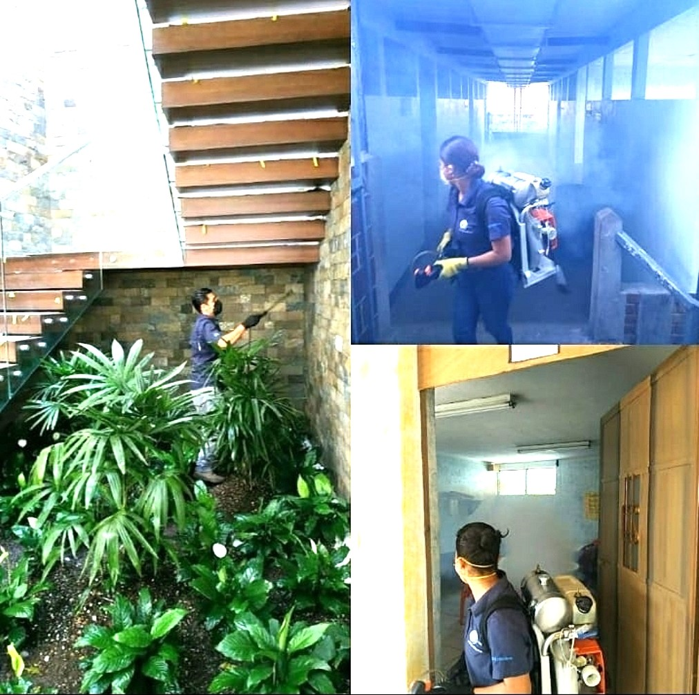 Control de plagas Evolution