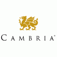 The logo for cambria is a dragon with wings on a white background.