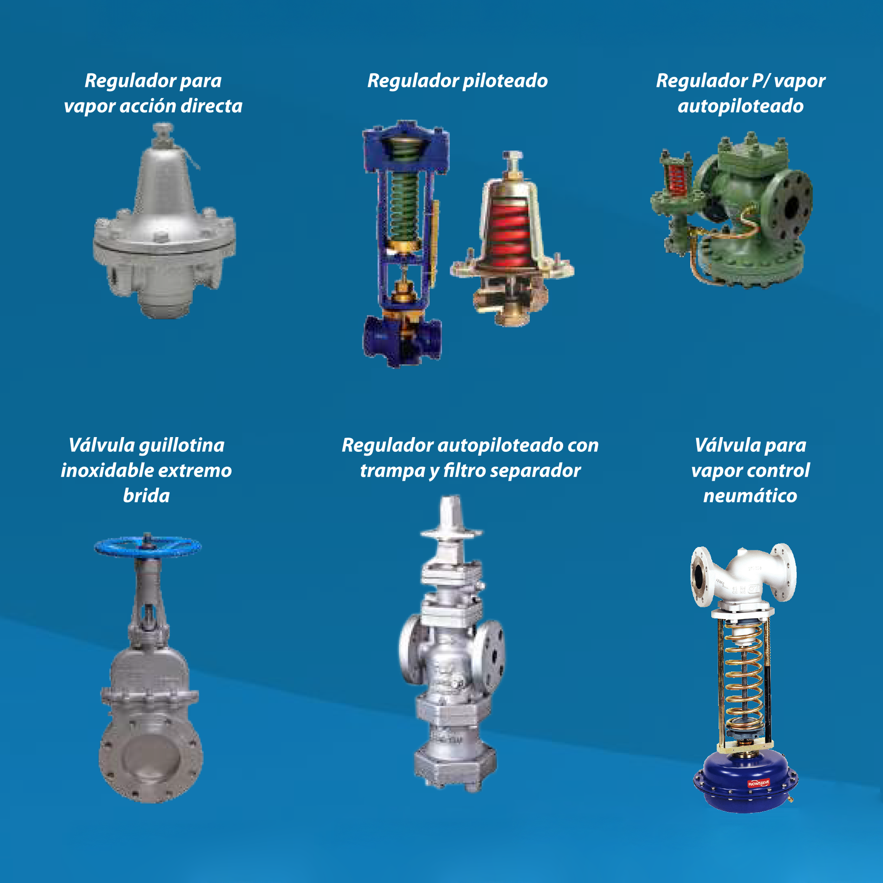 Válvulas para vapor