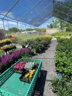 Nursery with Plants and Flowers — Milton, NY — Top Seed Landscape Design Inc