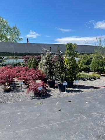 Potted Plants in Front of Nursery — Milton, NY — Top Seed Landscape Design Inc