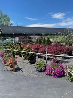 Nursery with Plants and Colorful Flowers — Milton, NY — Top Seed Landscape Design Inc