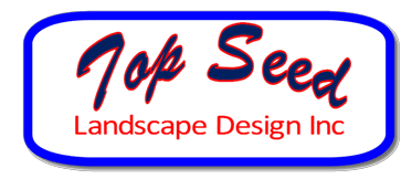 Top Seed Landscape Design Inc #2