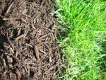 Brown Dye Mulch — Landscape Design Services in Milton, NY