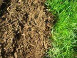 Hardwood Mulch — Landscape Design Services in Milton, NY