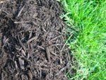 Black Dye Mulch — Landscape Design Services in Milton, NY