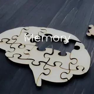 A wooden puzzle in the shape of a brain with a piece missing
