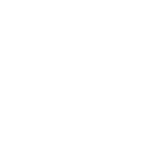 Group-Equestrian-Lessons