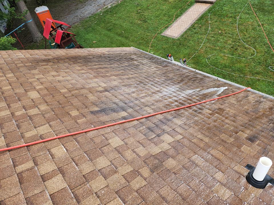 Pressure washing a brown shingle roof, with a red hose and green grass.