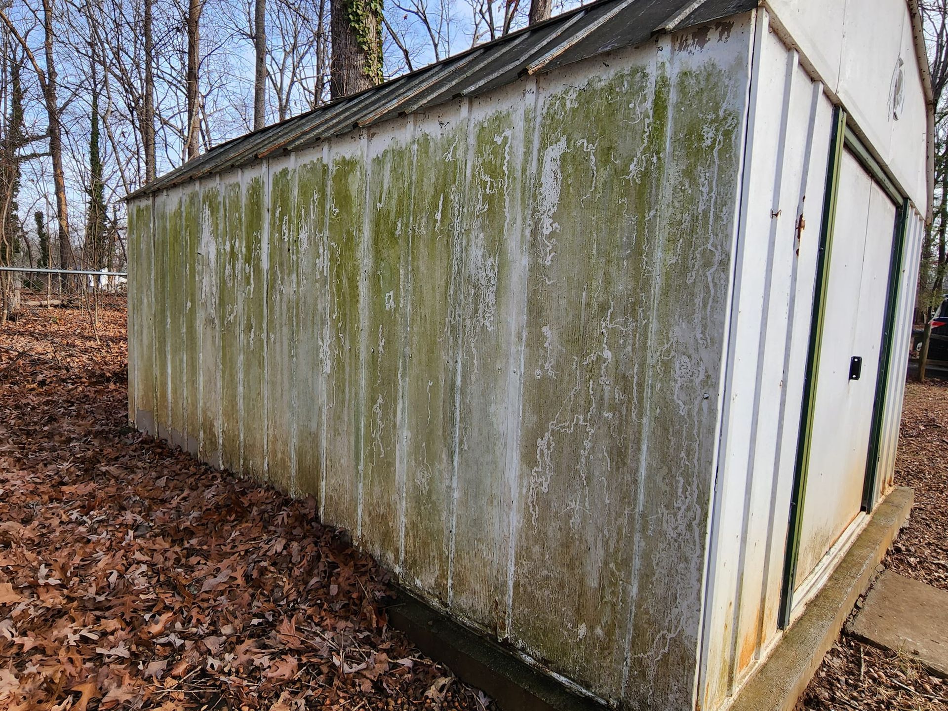 Moldy, weathered white shed with a green-tinted exterior, set among fallen leaves and trees.