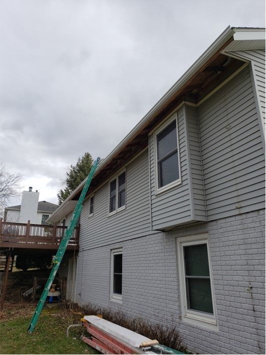 Green ladder leaning against a two-story house with gray siding, cloudy sky.