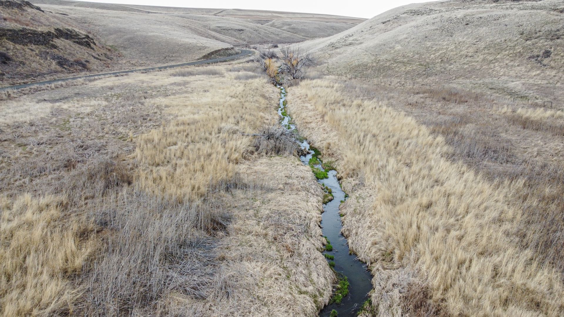 Young Kid Aiming — Tacoma, WA — Pheasants Forever