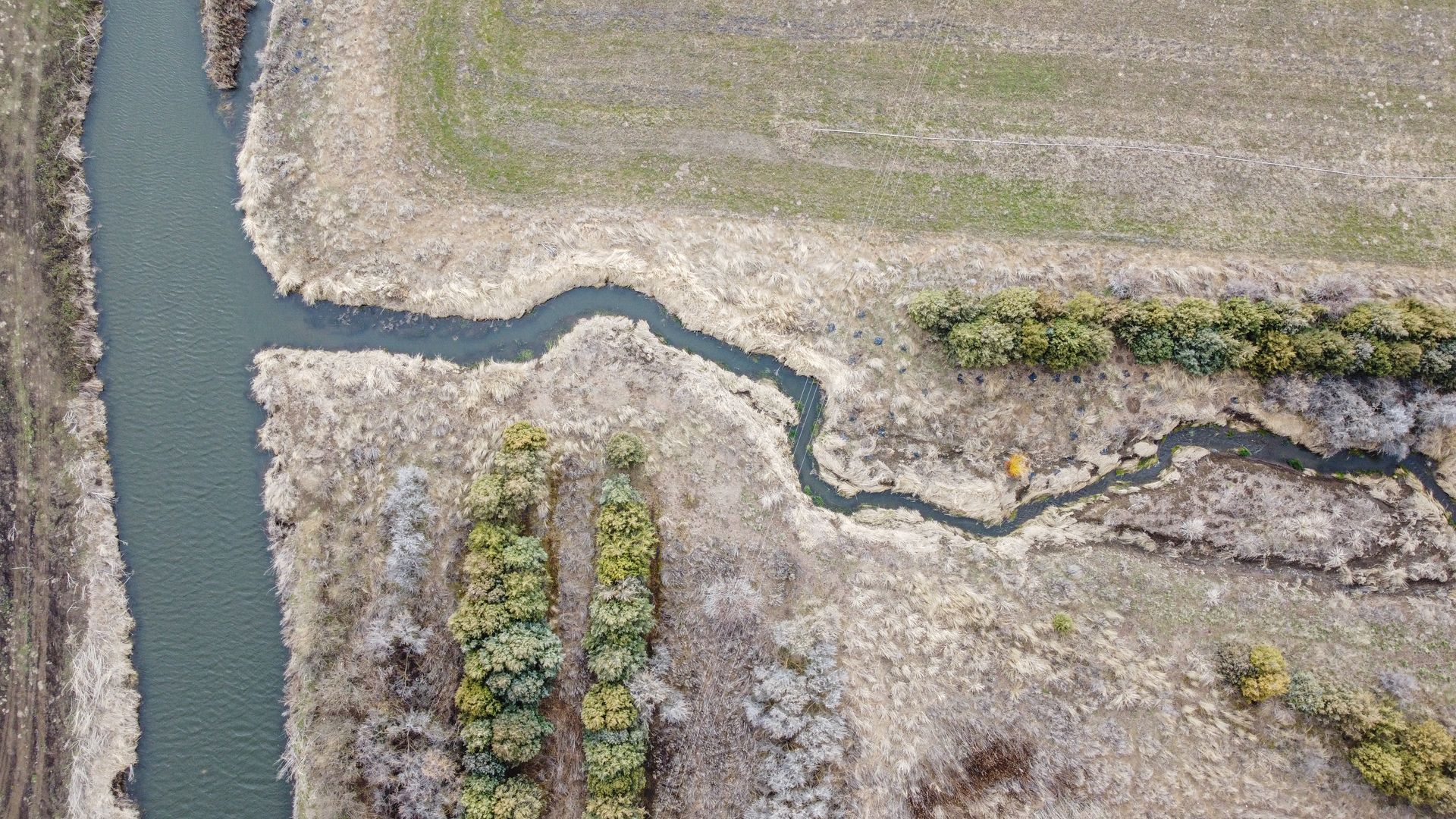 Pheasant Forever Image — Tacoma, WA — Pheasants Forever
