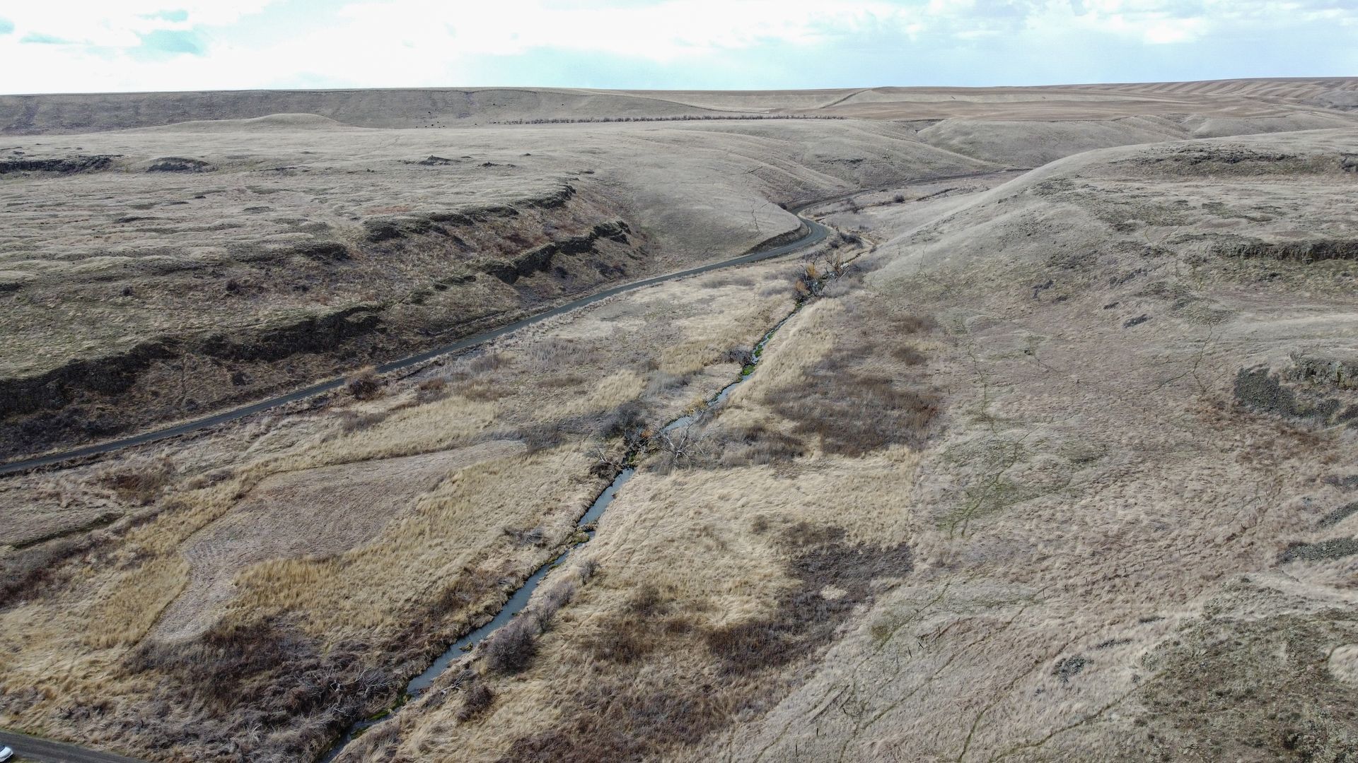 Young Boy Holding A Gun Looking At The Dog — Tacoma, WA — Pheasants Forever