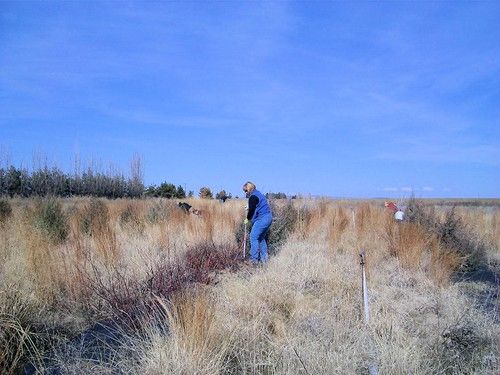 Woman On The Field — Tacoma, WA — Pheasants Forever