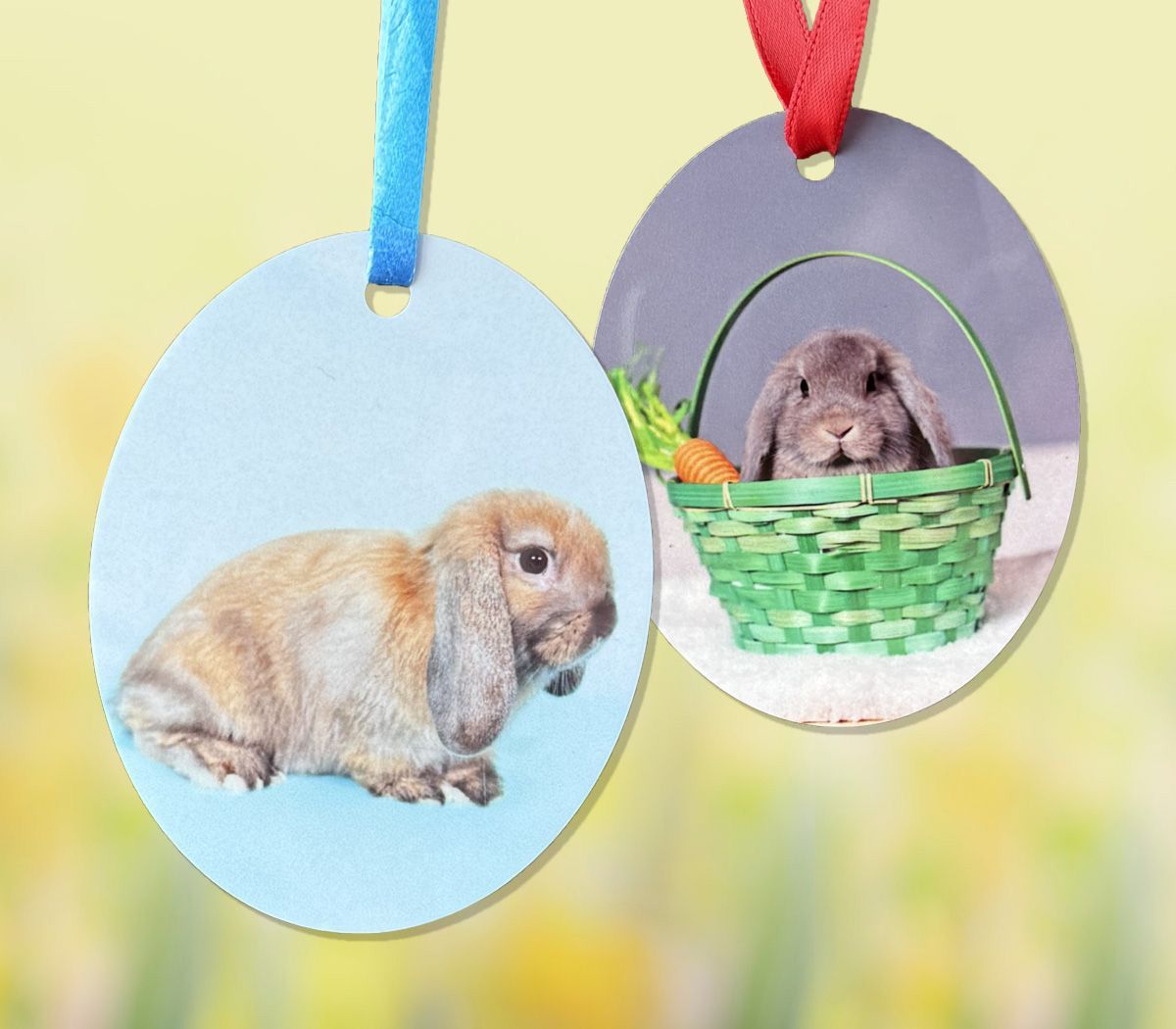 Set of two ornaments