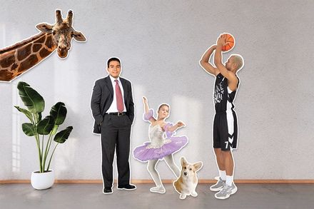 Set of life-size cutouts ranging from a giraffe to a basketball player.