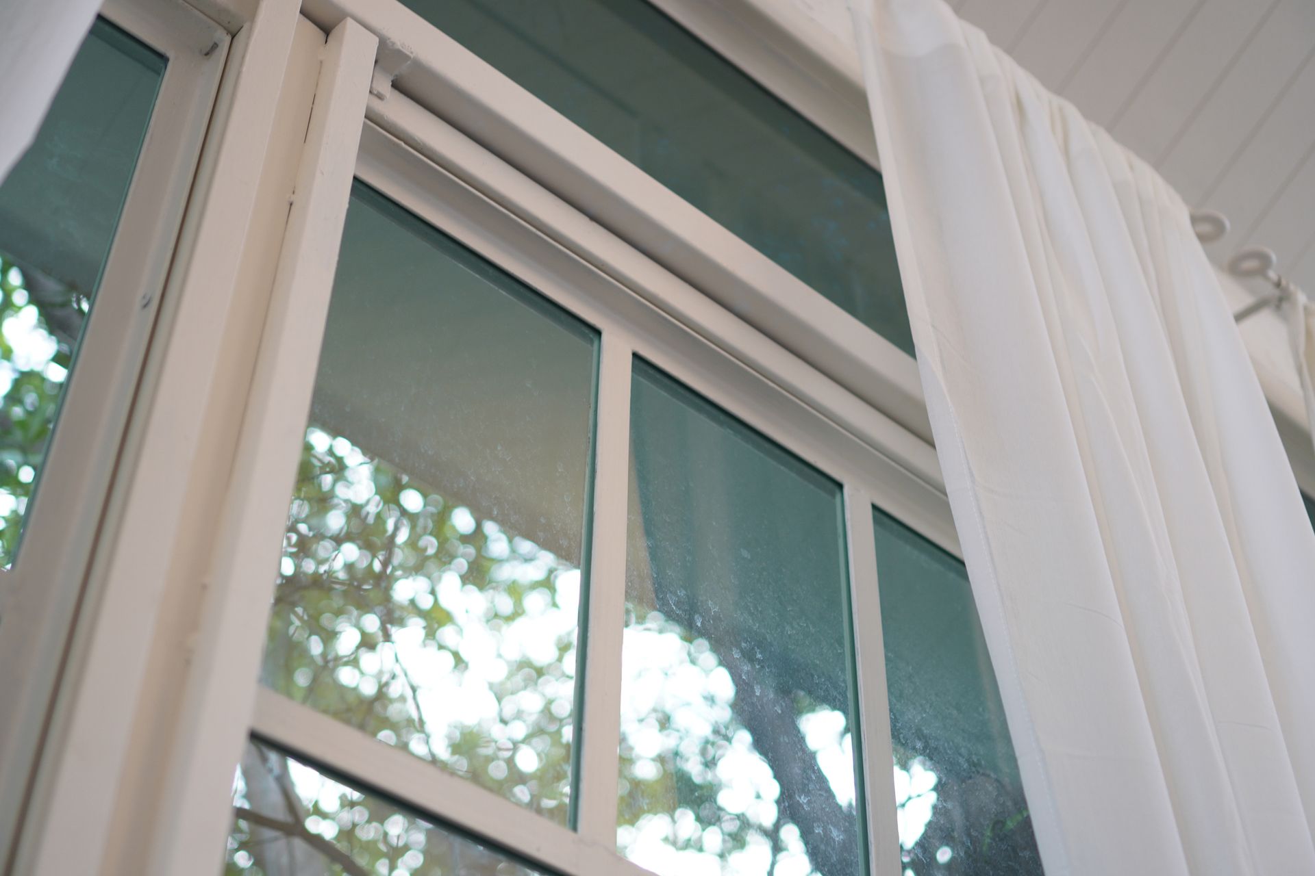 A window with white curtains and a reflection of trees.
