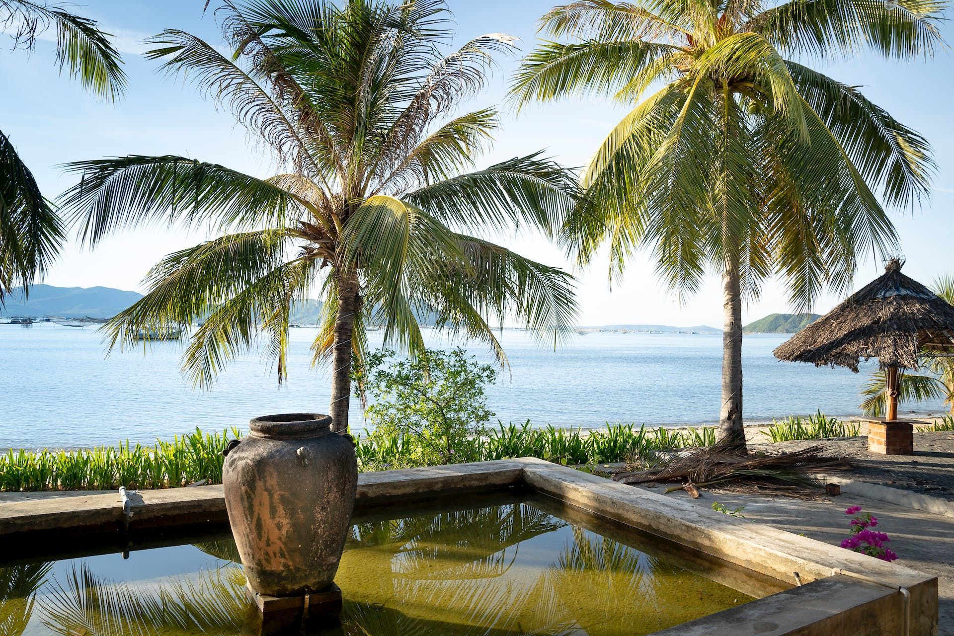 A fountain in front of a body of water with palm trees in the background